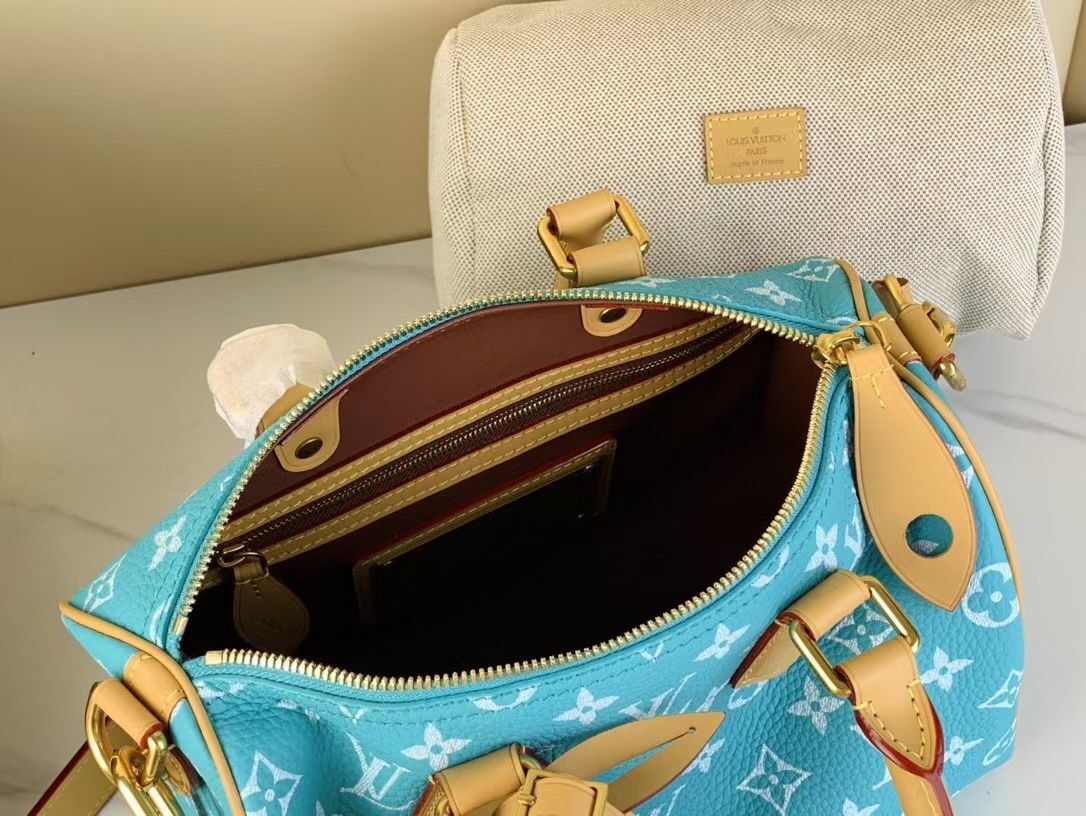 l**is V*t*n speedy bandoulière 25-25x 19 x 15cm