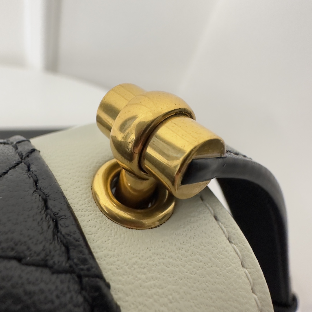 YSL Gaby Bag-20×14.5x5CM