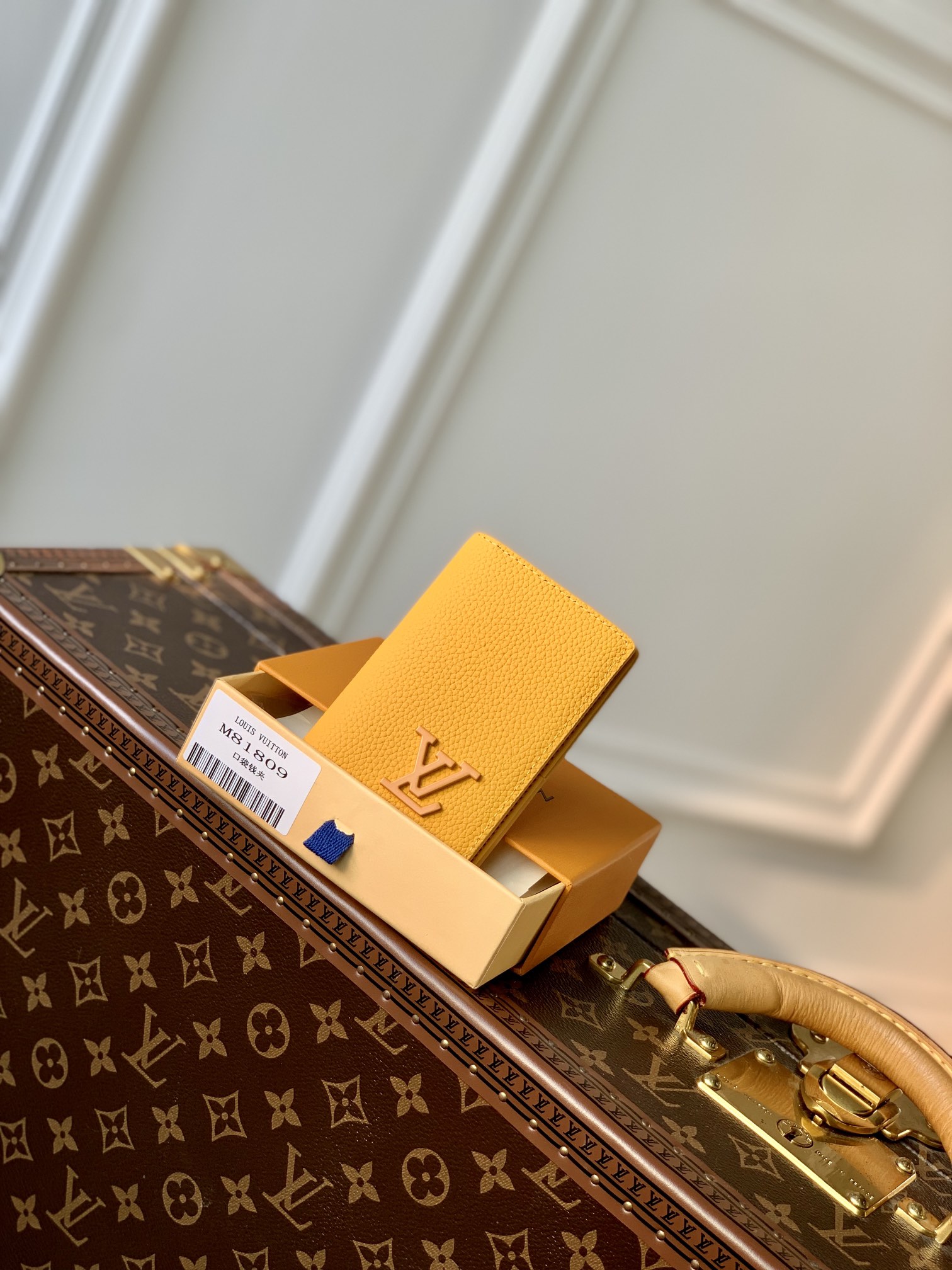 l**is V*t*n aerogram wallet-8 x 11 x 1cm