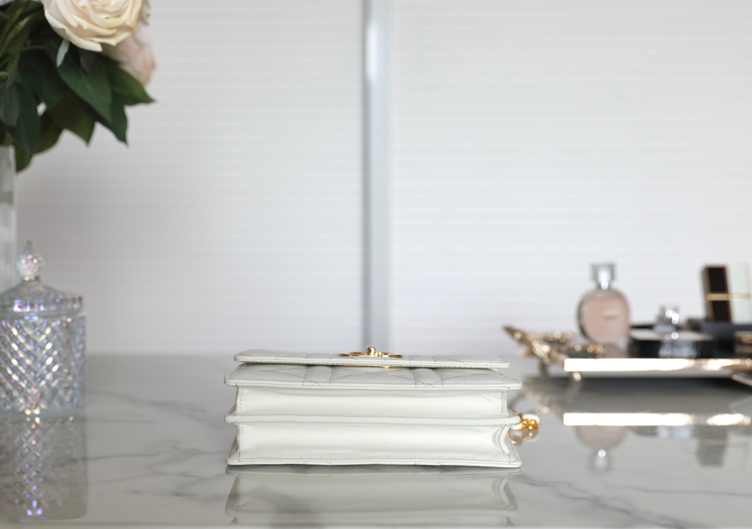 D*or caro bag- 19 x 13 x 5.5cm