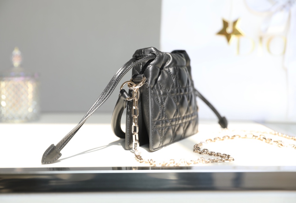 lady D*or bag-19 x 13 x 5cm