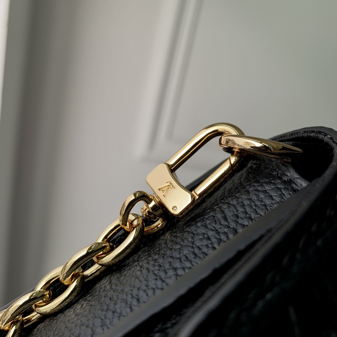 l**is V*t*n wallet on chain-22 x 15 x 5.5cm