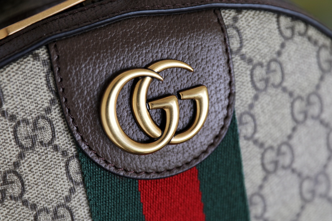 G*u*i ophidia backpack-22*19*15cm