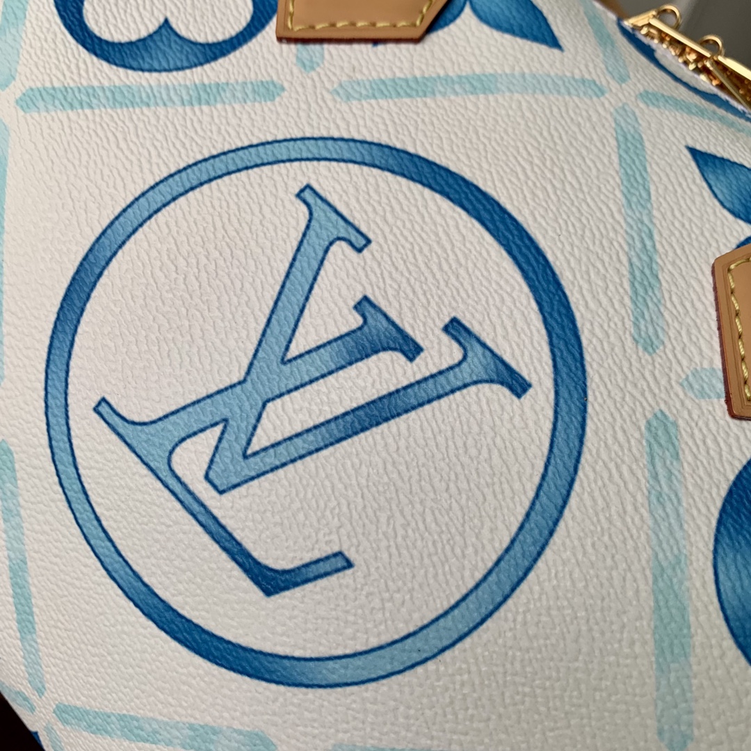 l**is V*t*n speedy bandoulière 25-25x 19 x 15cm