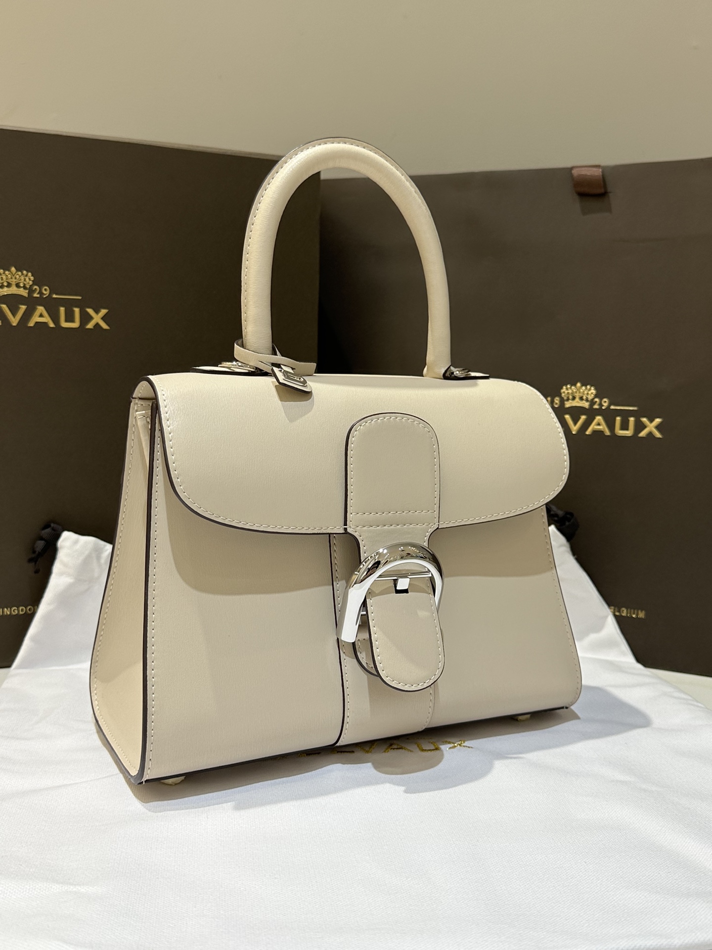 Delvaux Brillant PM Bag-24*12*19CM