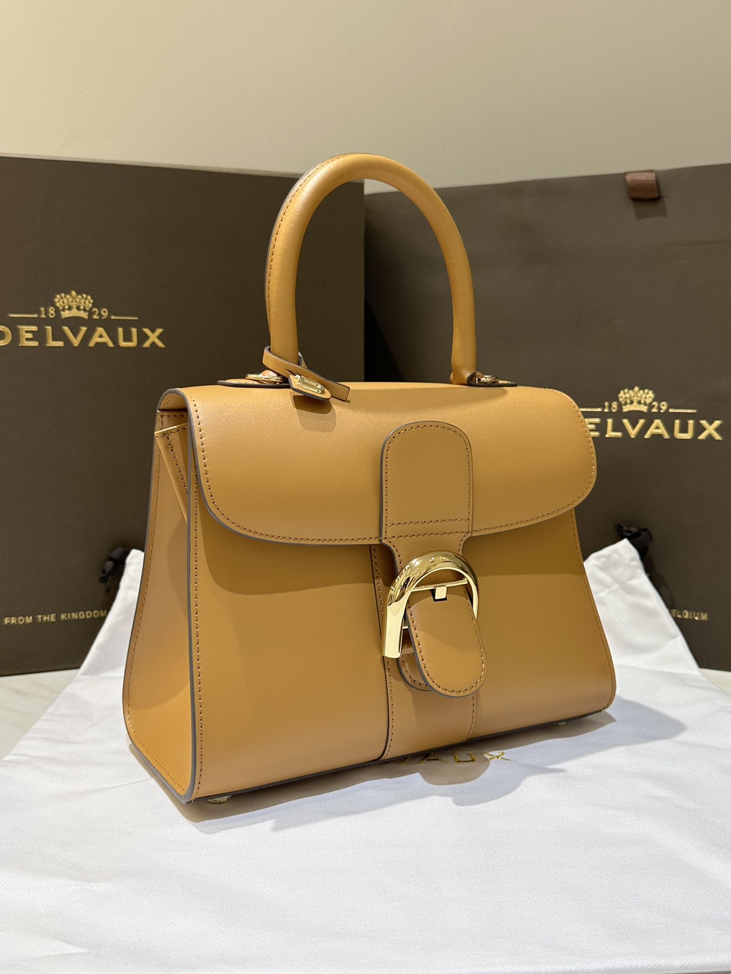Delvaux Brillant PM Bag-24*12*19CM