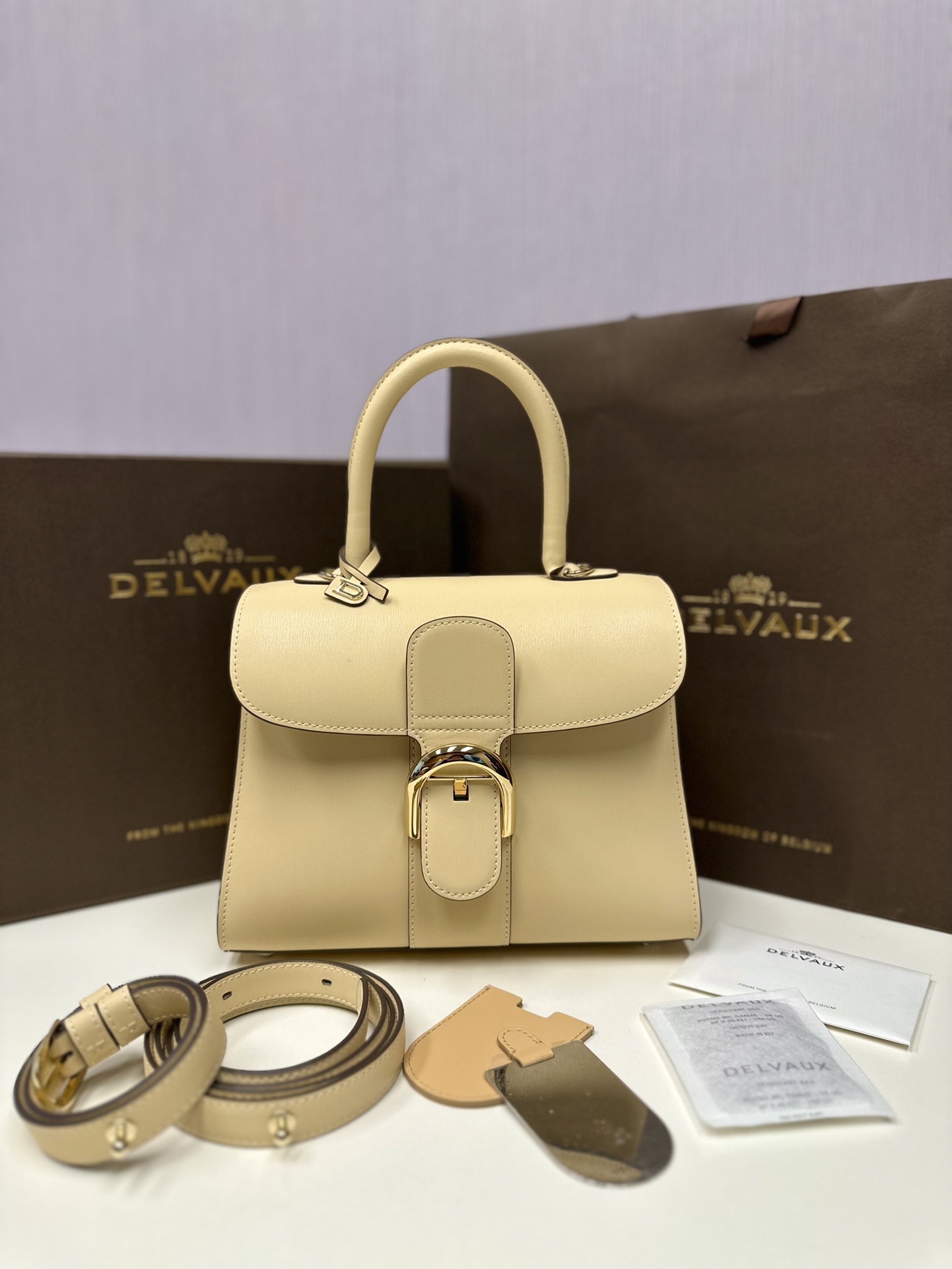 Delvaux Brillant PM Bag-24*12*19CM