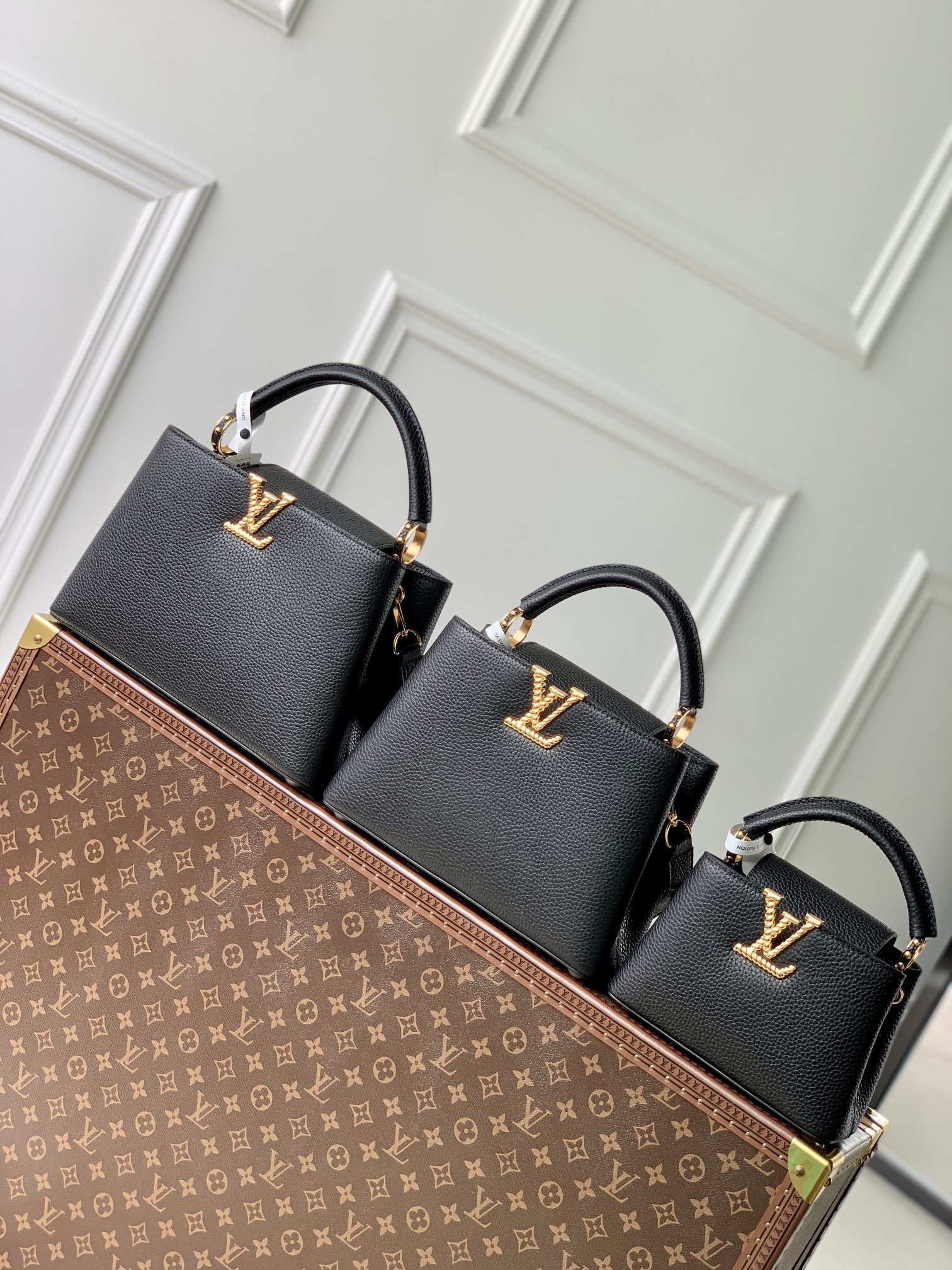 l**is V*t*n capucines handlebag