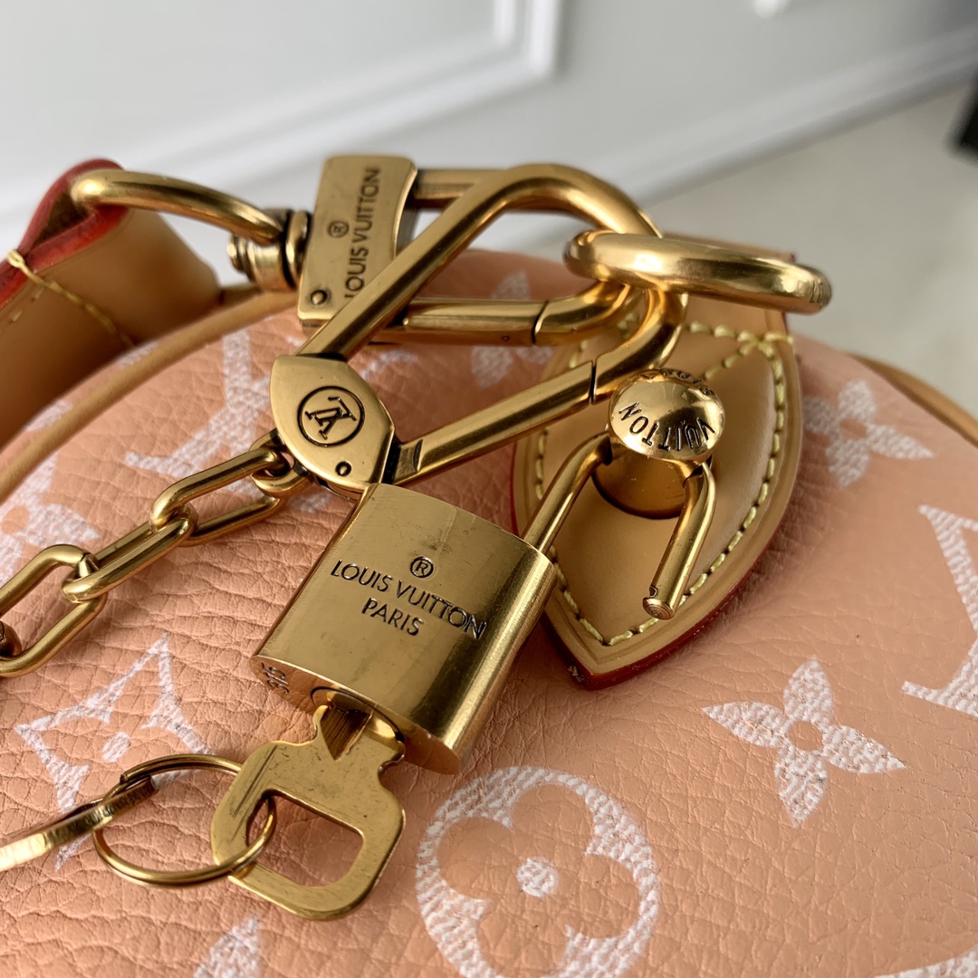 l**is V*t*n speedy bandoulière 25-25x 19 x 15cm