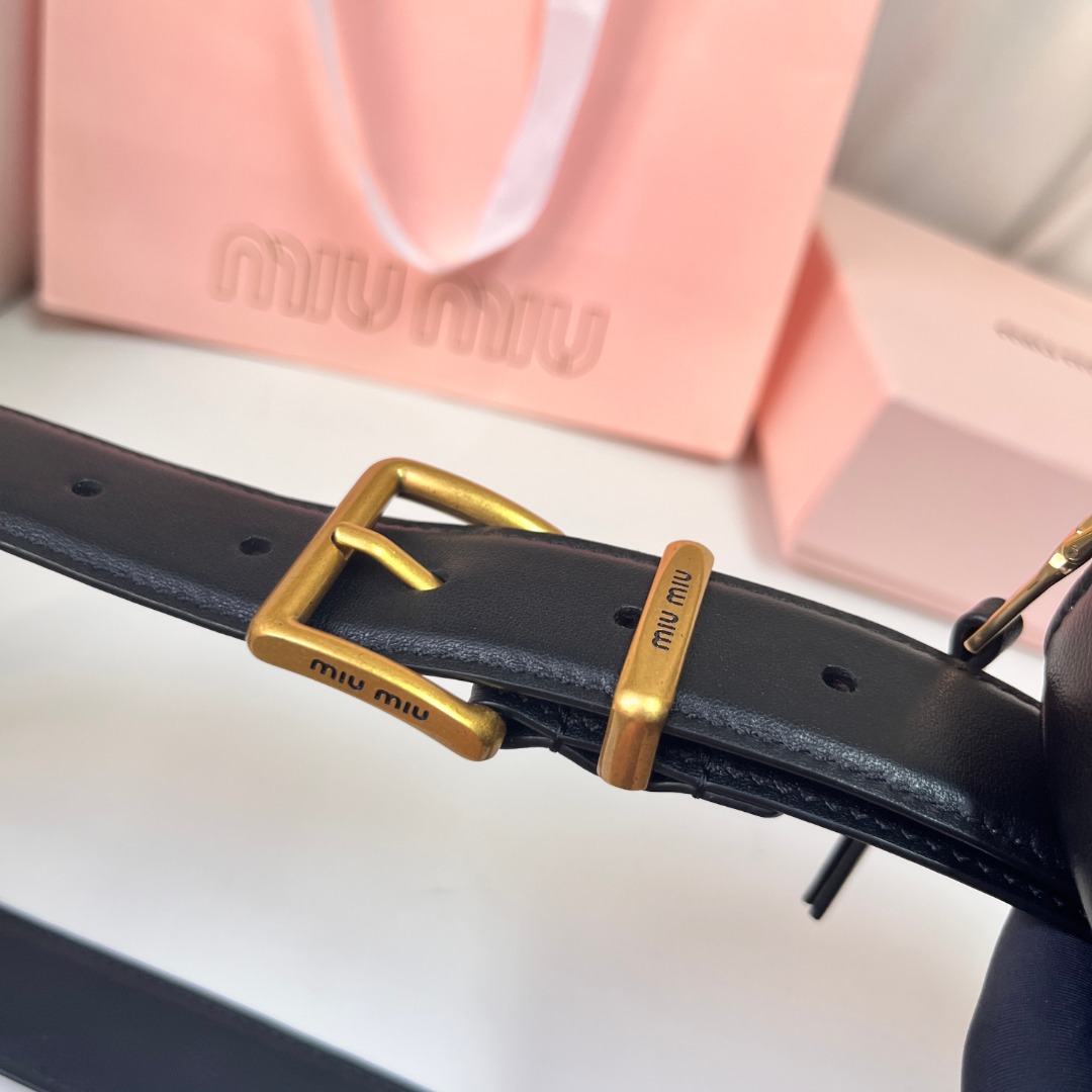 MiuMiu Belt Bag