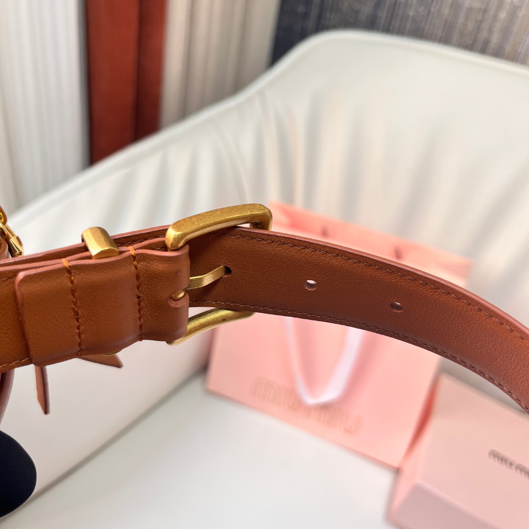 MiuMiu Belt Bag