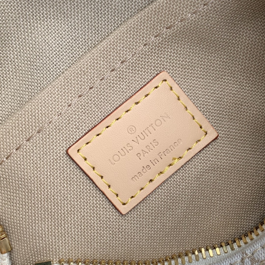 l**is V*t*n speedy bandoulière 20 -m24709-20.5 x 13.5 x 12cm